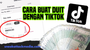 Panduan Sukses Di MEDSOS , Tanpa Harus Bekerja 4 sneakattackmedia.com 2